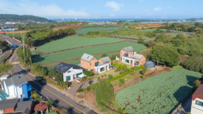 Jeju brickninemansion